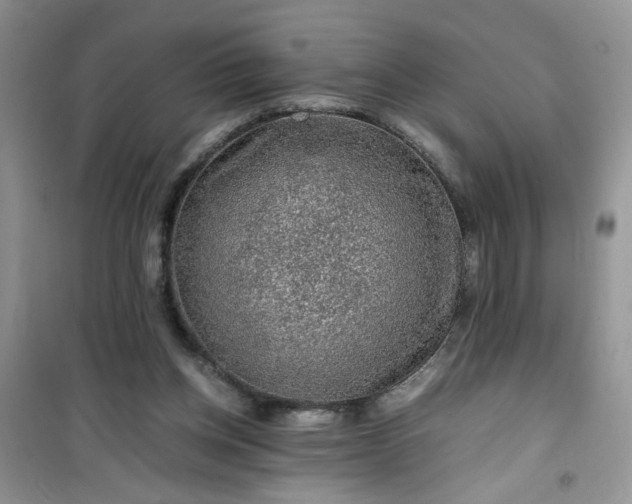 X0000100950158200807081226