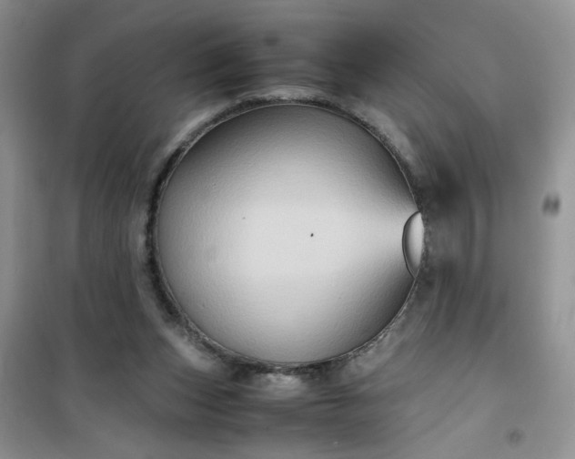 X0000100950159200807081226