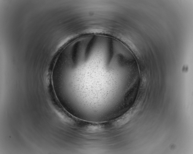 X0000100950160200807081226