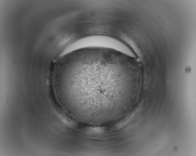 X0000100950161200807081226