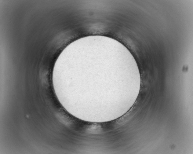 X0000100950162200807081226