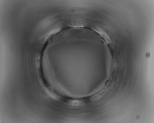 X0000100950163200807081226