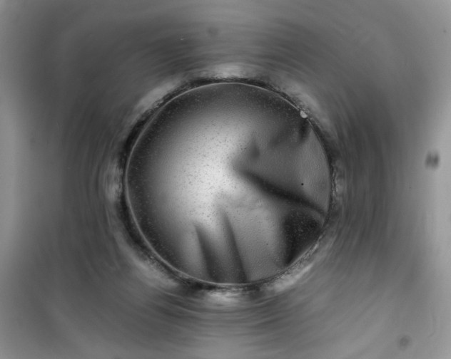 X0000100950164200807081226