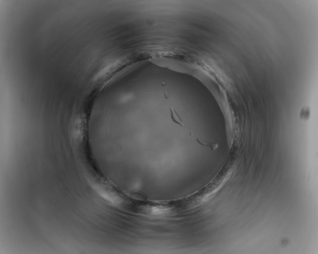 X0000100950165200807081226