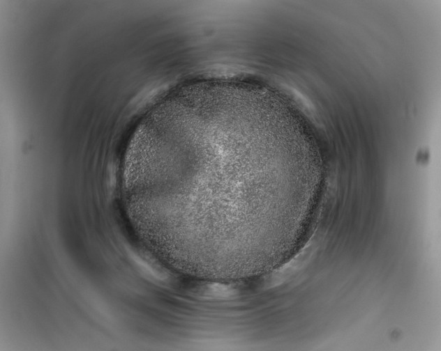 X0000100950166200807081226