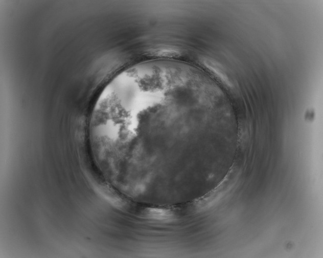 X0000100950167200807081226