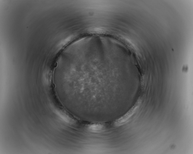 X0000100950168200807081227