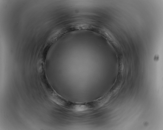 X0000100950169200807081227