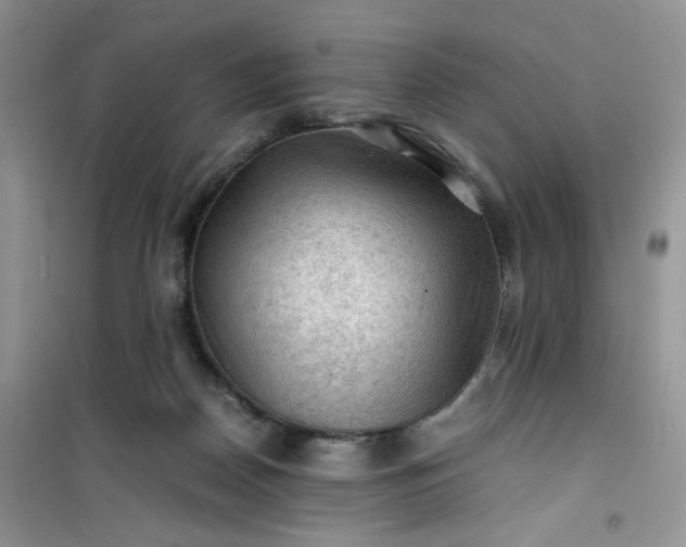 X0000100950170200807081227