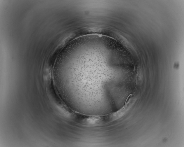 X0000100950172200807081227