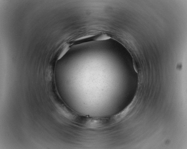 X0000100950174200807081227