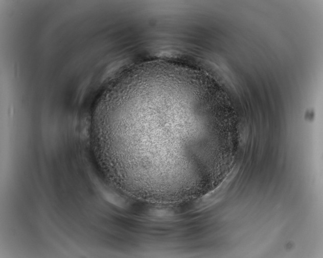 X0000100950175200807081227