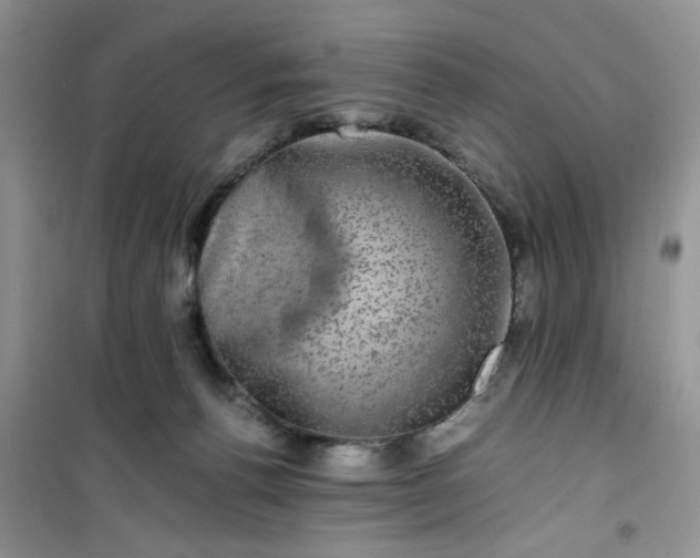 X0000100950176200807081227