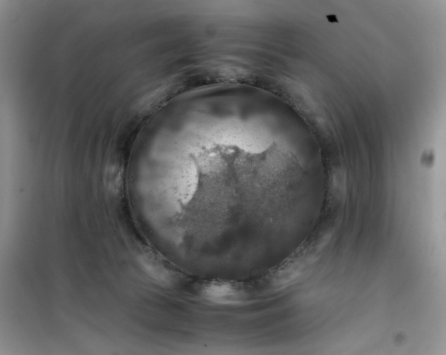 X0000100950177200807081227