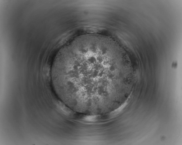 X0000100950178200807081227