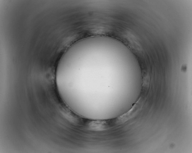 X0000100950179200807081227