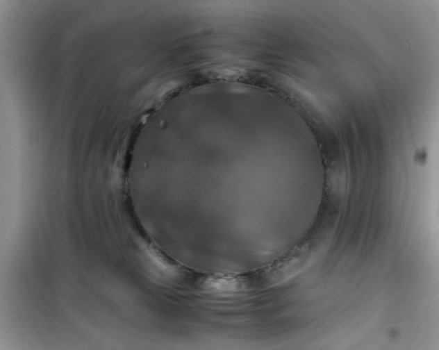 X0000100950181200807081227