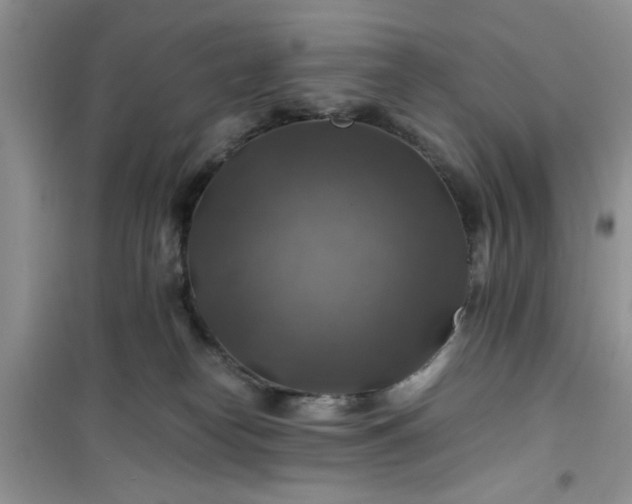 X0000100950182200807081227