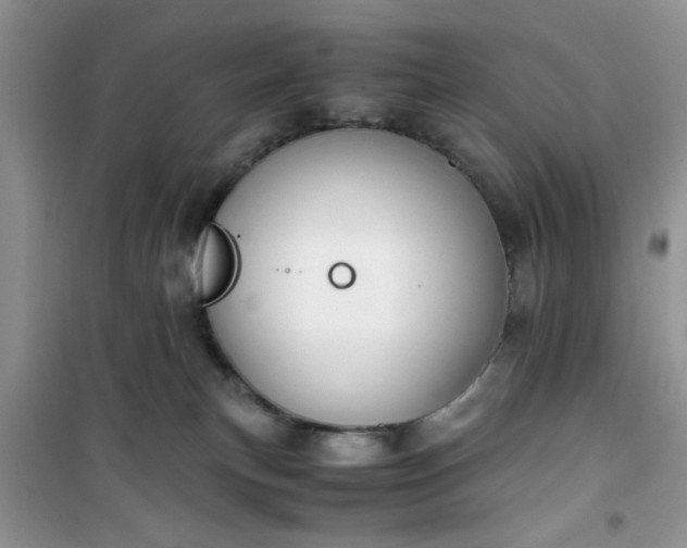 X0000100950183200807081227