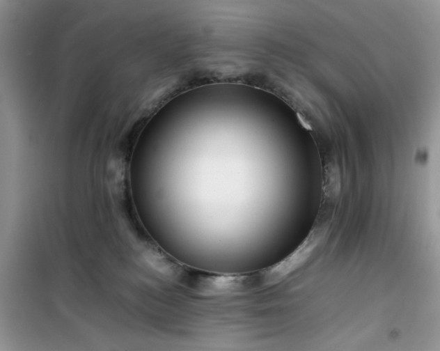 X0000100950184200807081227