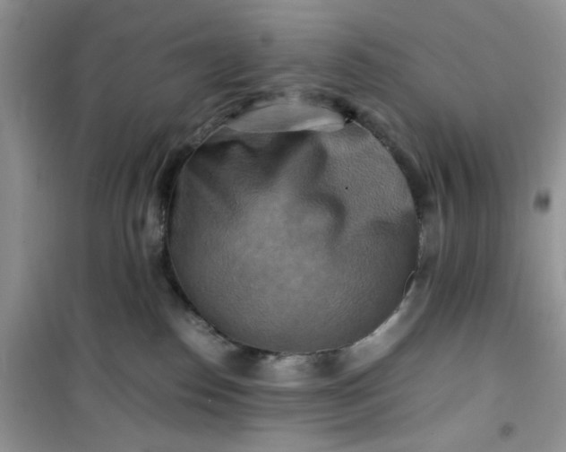 X0000100950186200807081227