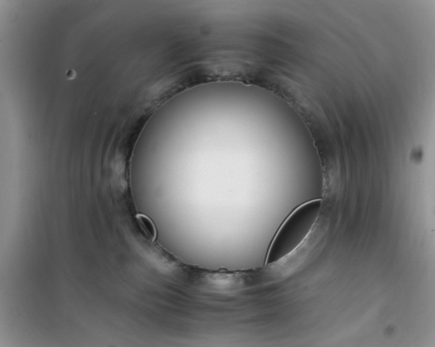 X0000100950187200807081227