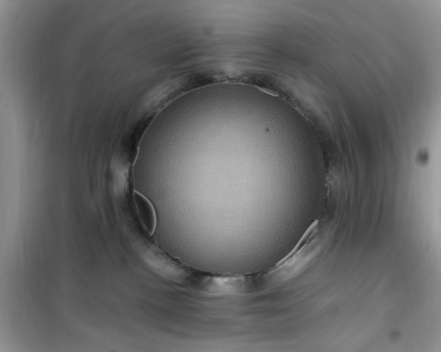 X0000100950188200807081227