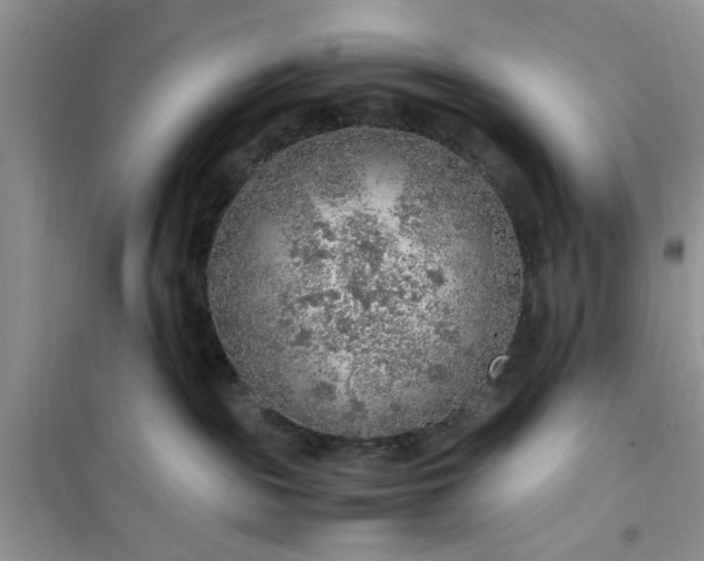 X0000100950189200807081227