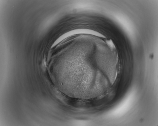 X0000100950190200807081227