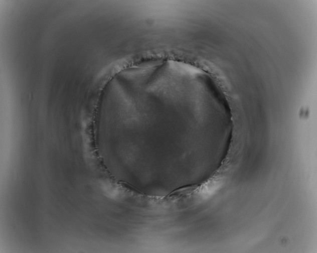 X0000100950192200807081227