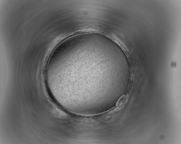 X0000100950193200807081226