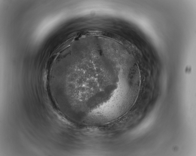 X0000100950194200807081226