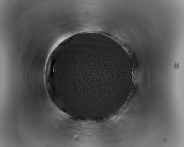 X0000100950196200807081226