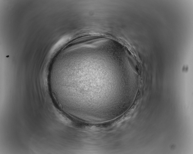 X0000100950197200807081226