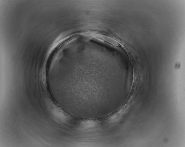 X0000100950198200807081226