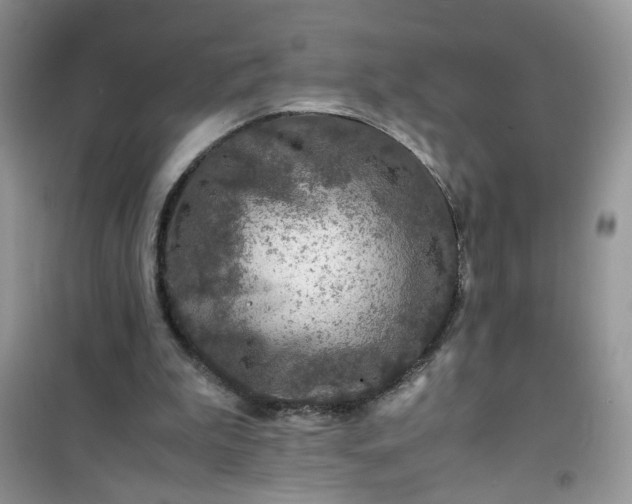 X0000100950199200807081226