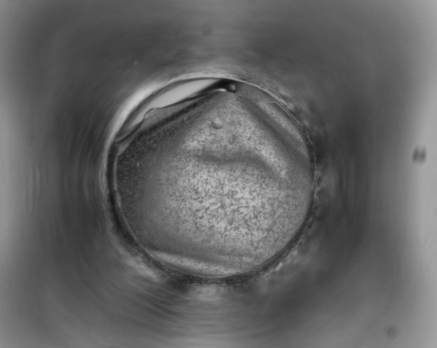 X0000100950200200807081226