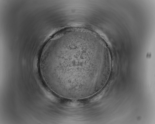 X0000100950201200807081226