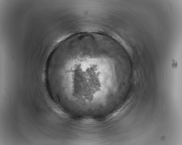 X0000100950203200807081226