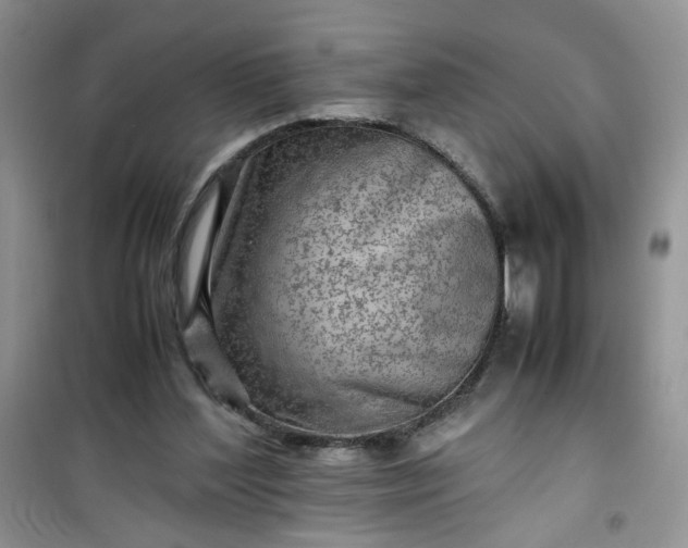 X0000100950204200807081226