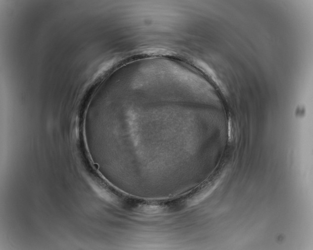 X0000100950205200807081226