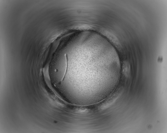 X0000100950206200807081226