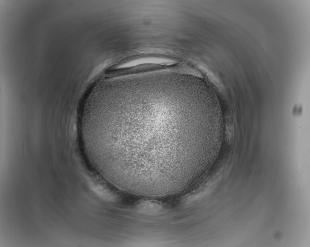 X0000100950207200807081226