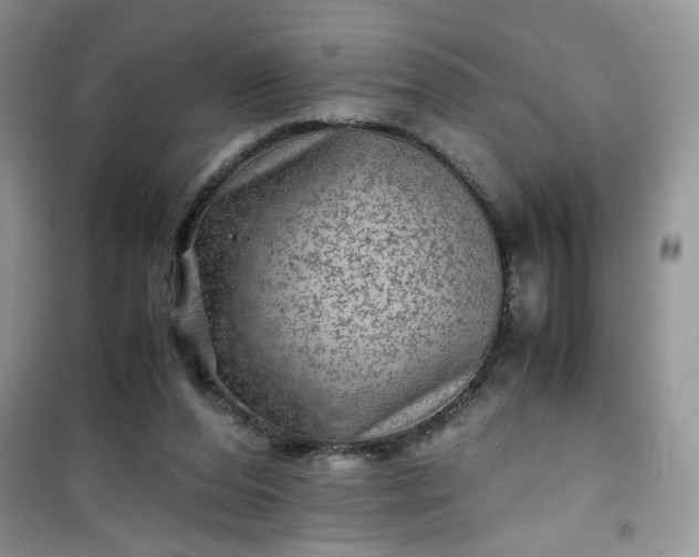 X0000100950208200807081226