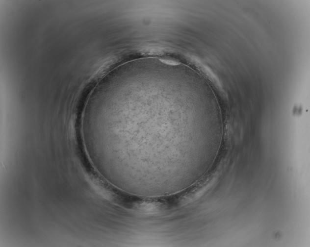 X0000100950209200807081226