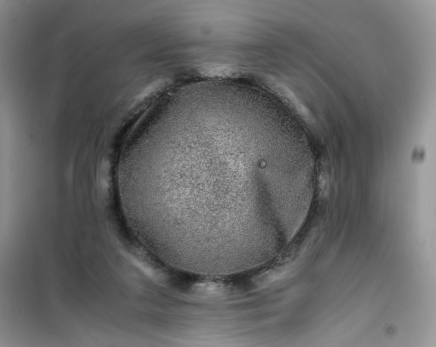 X0000100950211200807081226