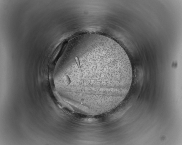 X0000100950212200807081226