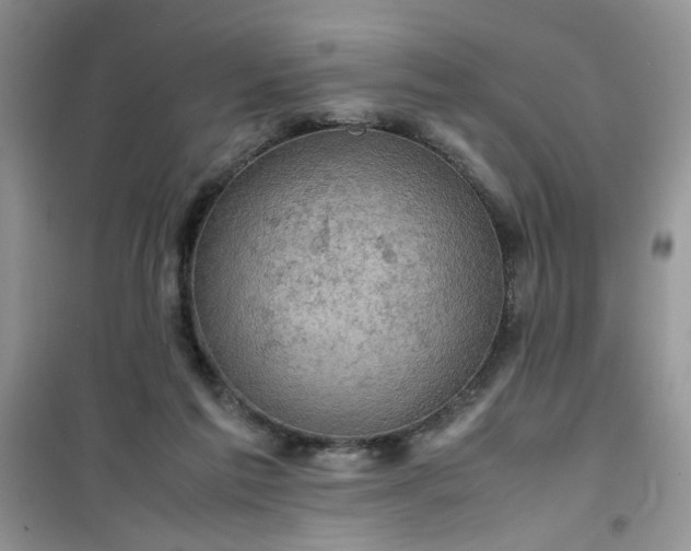 X0000100950213200807081226