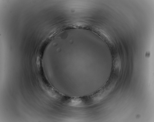 X0000100950214200807081226