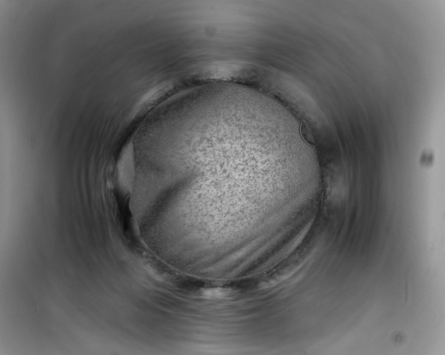 X0000100950216200807081226